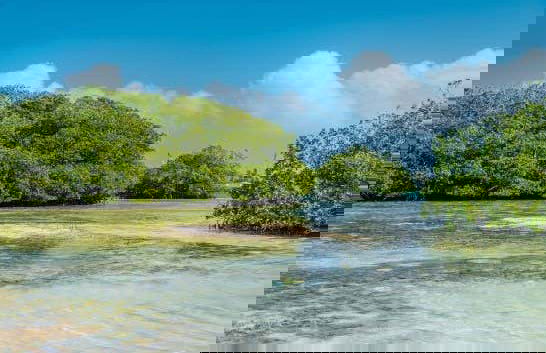 Excursión a Cayo Acuario - Foto 2