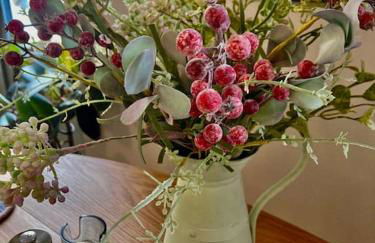 The BeeKeepers - Homely Luxurious Self Catering - Foto 66