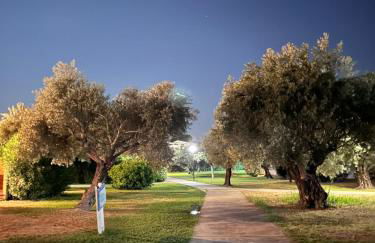 Brezza marina - Foto 20