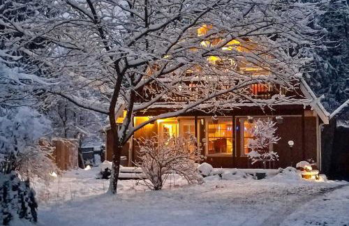 Hike, Ski and Explore! Owls Nest Gold Bar Cabin - Foto 3