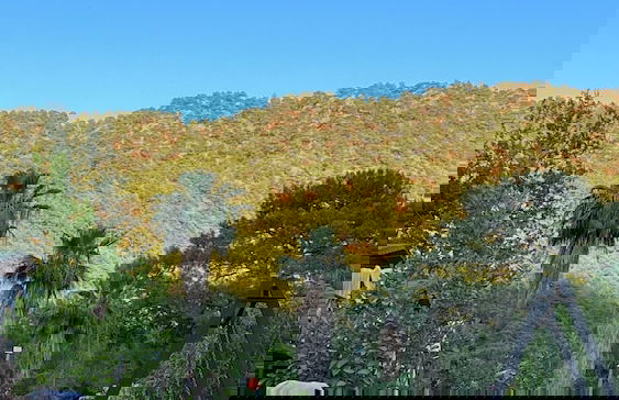 FNM LUXURY BUNGALOVS - Photo 9