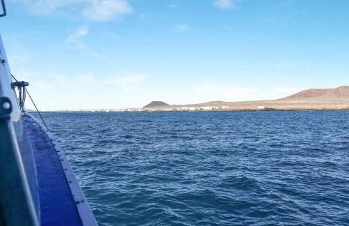 APARTAMENTOS FLOR - Foto 40