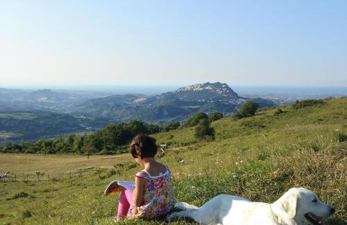 Fattoria Bio L'A Ceccoli - Foto 44