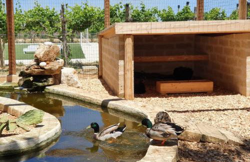 Masseria Agrituristica Lama San Giorgio - Foto 8