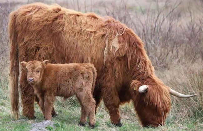 Beachside Escape w/ Terrace - Foto 24