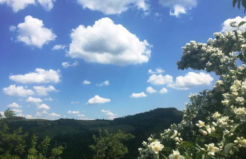 Pizzicalaluna Agriturismo Olistico sulle Colline di Pianoro - Photo 35