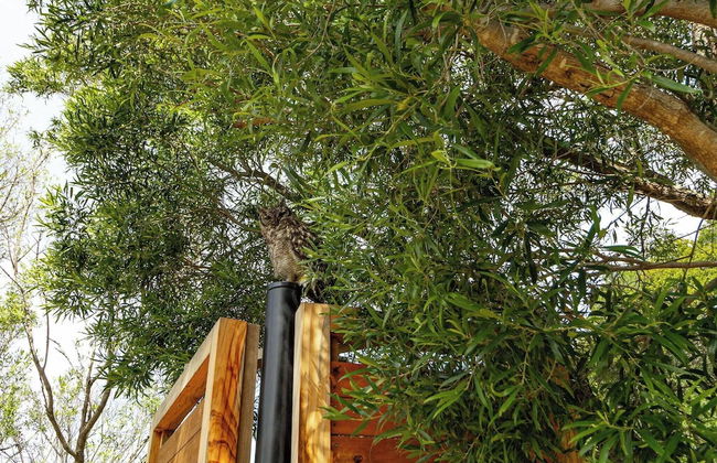 Luxury Eco Villa, Hout Bay, Cape Town,south Africa - Photo 30