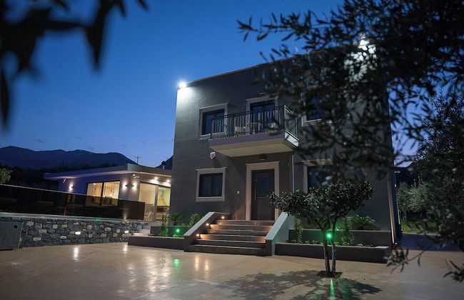 Olive Tree - Foto 39