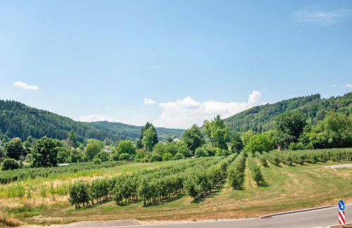 Ferienhaus Aura - Foto 63