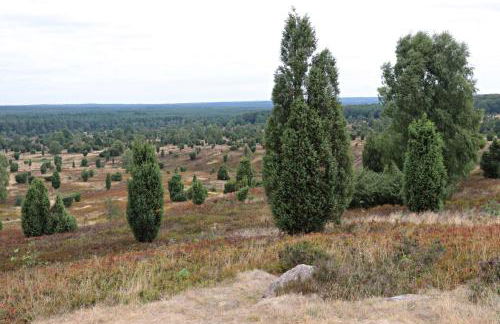 Ferienhaus Wahlers - Foto 37