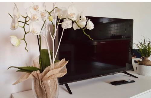 Olga & Giò - Vicino al Centro di Cesena - Foto 9