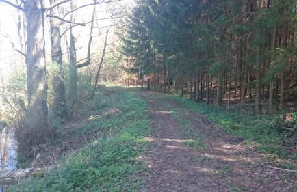 Große Ferienwohnung auf dem Pferdehof Nähe Bamberg, Coburg, Schweinfurt - Foto 18