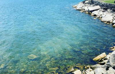 Cedar Haven Unit 202 by Simple Life Rentals - Photo 6