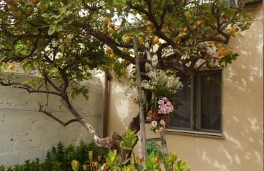 Nel giardino di Nunziatina - Photo 26