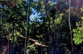 CHaLéS GuiGó, Refugio em meio a natureza - Photo 35