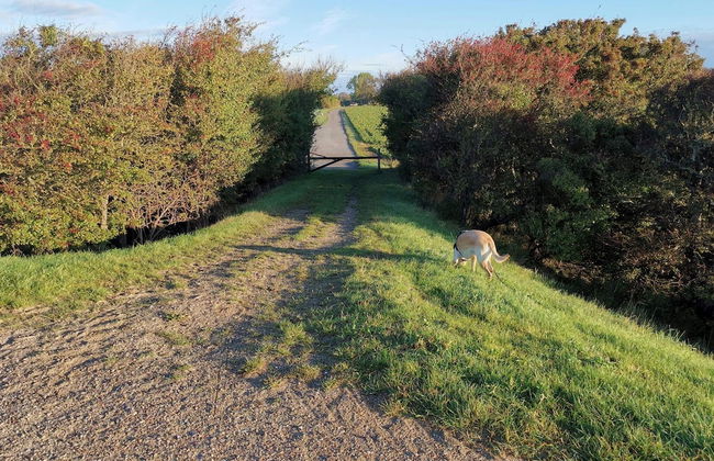 Secluded Holiday Home in Lolland near Sea - Foto 5