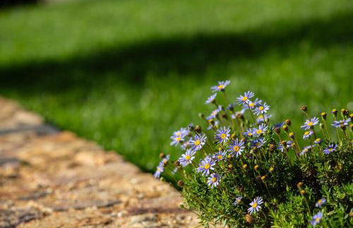 Reinado de Dom Dinis - Foto 43