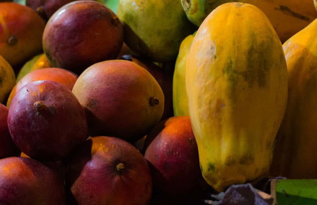 Tour da fruta colombiana - Foto 2