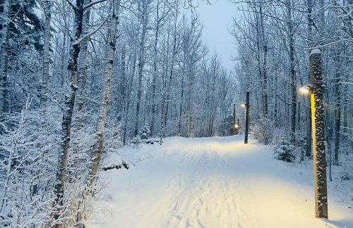 Ski-in Ski-out Townhome at Lutsen Mountain, Pool, Hot Tub, Fitness, Sauna and more! - Foto 44