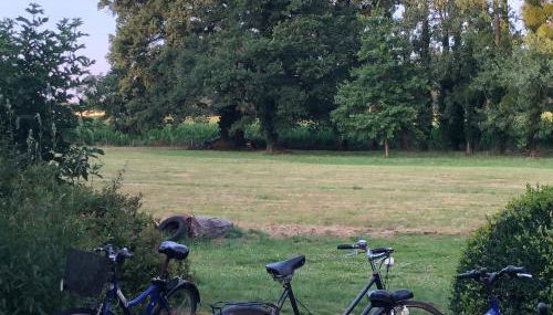 Manoir De La Chouanniere - Foto 5