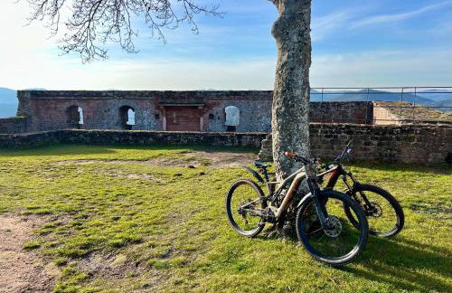 Ferienwohnung an der Kapelle - Photo 28