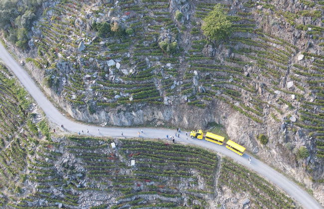 Ribeira Sacra Tourist Train Ride - Photo 4