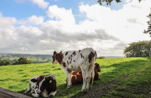 Small Lane Barn - Foto 55