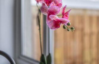 Bank House - Foto 19