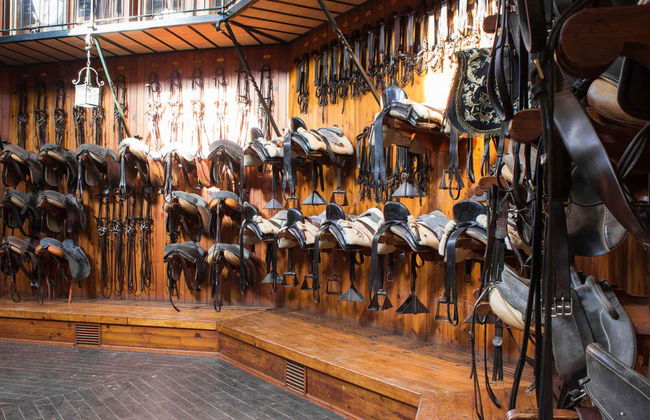 Spectacle équestre à Xérès de la Frontera - Photo 5