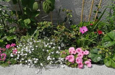 Vacational apartment - Foto 12