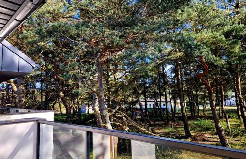 Wydmy Wiatr - Foto 22