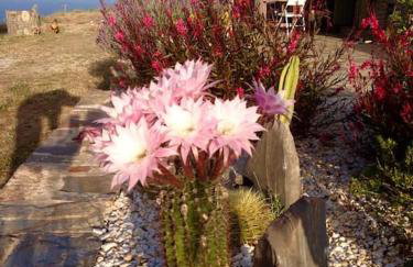 RURAL GUEST HOUSE, quiet stay in nature with Sea view - Foto 54