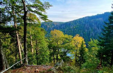 Ferienhaus Robin - Foto 22