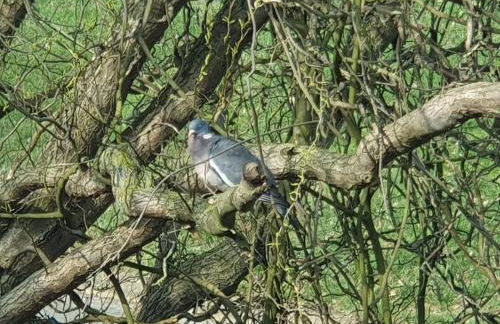 Elbe Ferien - Foto 31