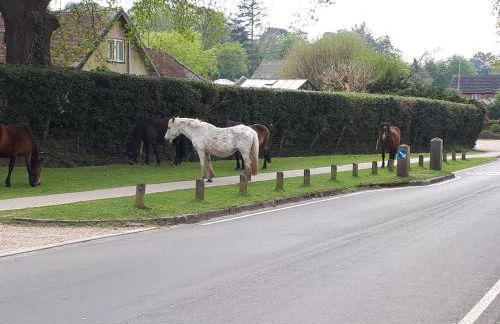 Spacious family cottage with private garden and forest walks - Foto 28