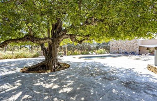 Villa Es Triquet Family - Photo 54