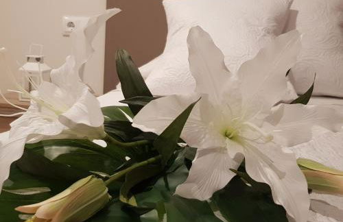 Cardona Fira - Photo 38