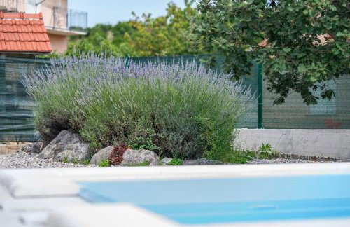 Villa Dalmatina - Foto 7