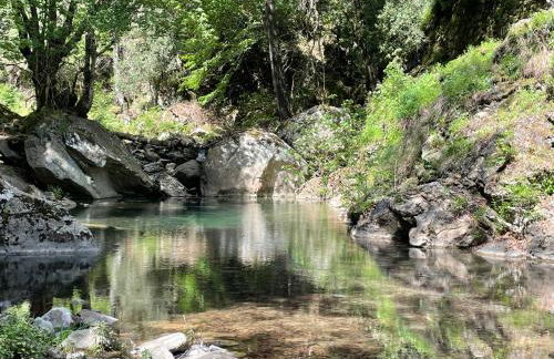 Corsica Poggio - Foto 18