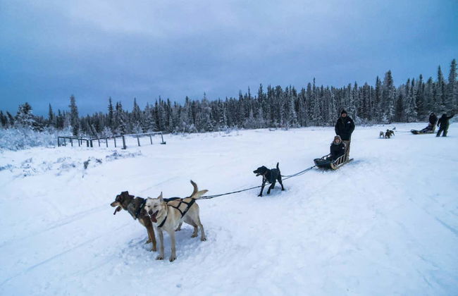 Paseo en trineo de perros husky - Foto 4