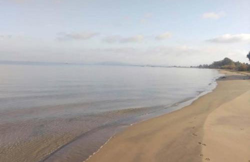 Krasospito 1850 - a Corfiot Wine House Reborn - Foto 74