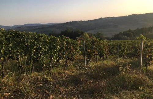 Tuscany Bliss: Garden Retreat - Foto 57