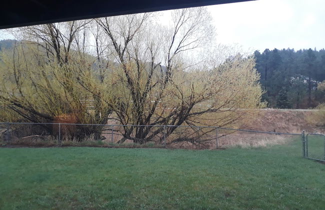 Alice's Black Hills Cottage - Foto 29