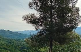 Chalet do Soajo - Foto 44