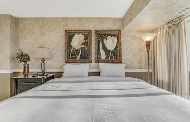 Satellite Grand View - Foto 7