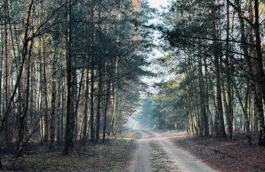 Dom Kacprowy - Brzegi Lasu - dwa apartamenty na wyłączność z ogrodem - Foto 57