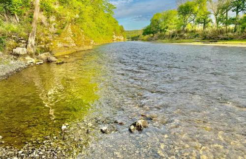 Eagle Rock Cabin Illinois River view - Foto 64
