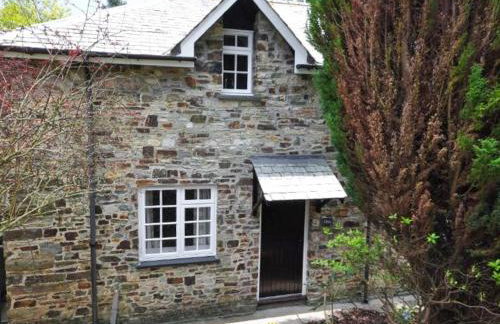 Number One - Ukc4963 - Foto 27