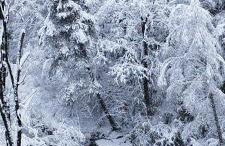 Duplex Calle El Tillo - Foto 16