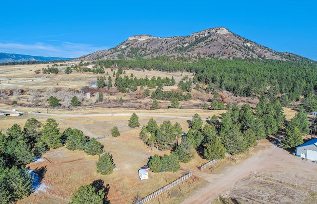 Tree Fort Escape - Foto 24